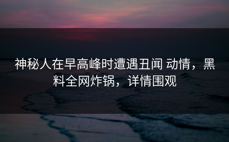 神秘人在早高峰时遭遇丑闻 动情，黑料全网炸锅，详情围观